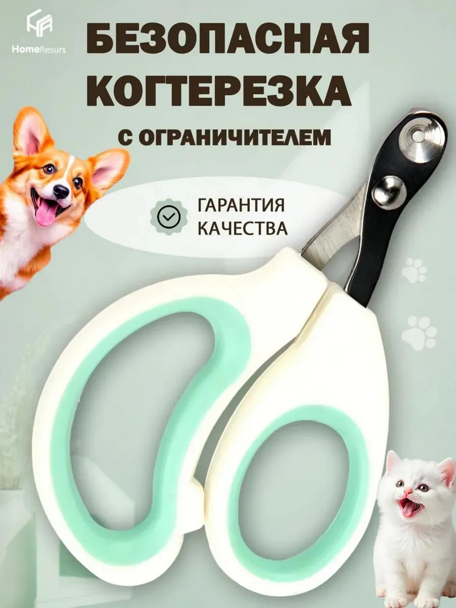 Spa ProBrush
